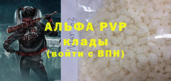 таблы Новодвинск