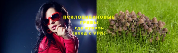 амфетамин Новозыбков