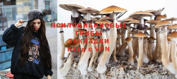 прущий лед Весьегонск