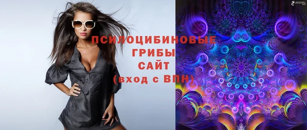 дмт Новокубанск