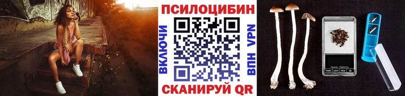 Псилоцибиновые грибы мицелий  купить  цена  Обоянь 